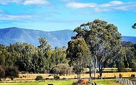 Copper Creek Retreat - Sleep Next Door To The Lions